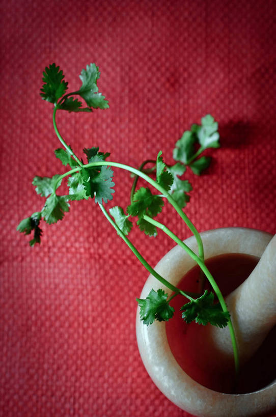 无人,竖图,俯视,室内,特写,白天,叶子,卡塔尔,准备,食品,茎,首都,红色,餐巾,摄影,欧芹,清新,研磨器,波斯湾,多哈,彩图,高角度拍摄