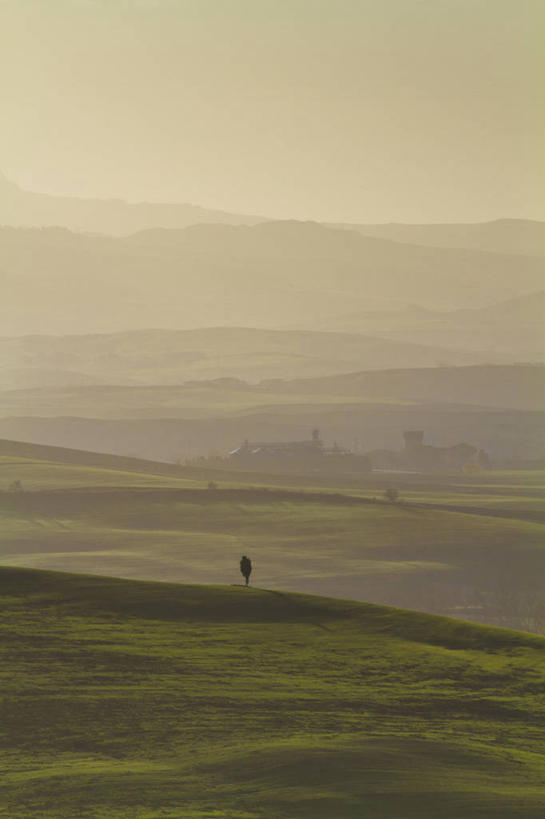 无人,竖图,室外,山,雾,意大利,地形,黎明,树,天空,自然,摄影,宁静,皮恩札,彩图