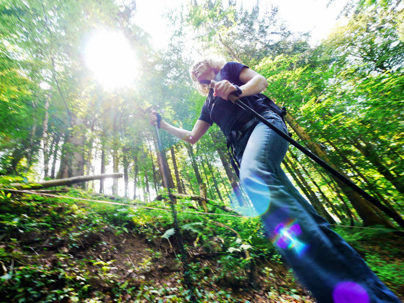 西方人,成年人,中年人,老年人,一个人,横图,室外,白天,正面,仰视,度假,森林,太阳,日光,德国,欧洲,欧洲人,仅一个女性,仅一个人,拿着,休闲装,树,看,仅一个中年女性,活力,摄影,享乐,剪影,巴伐利亚,女人,女性,中年女性,白种人,休闲活动,彩图,低角度拍摄,越野行走