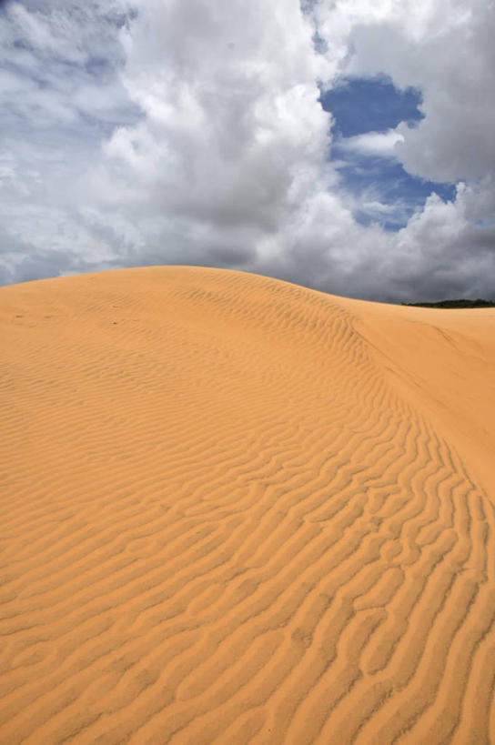 无人,竖图,室外,白天,沙漠,越南,沙子,沙丘,天空,自然,摄影,宁静,彩图