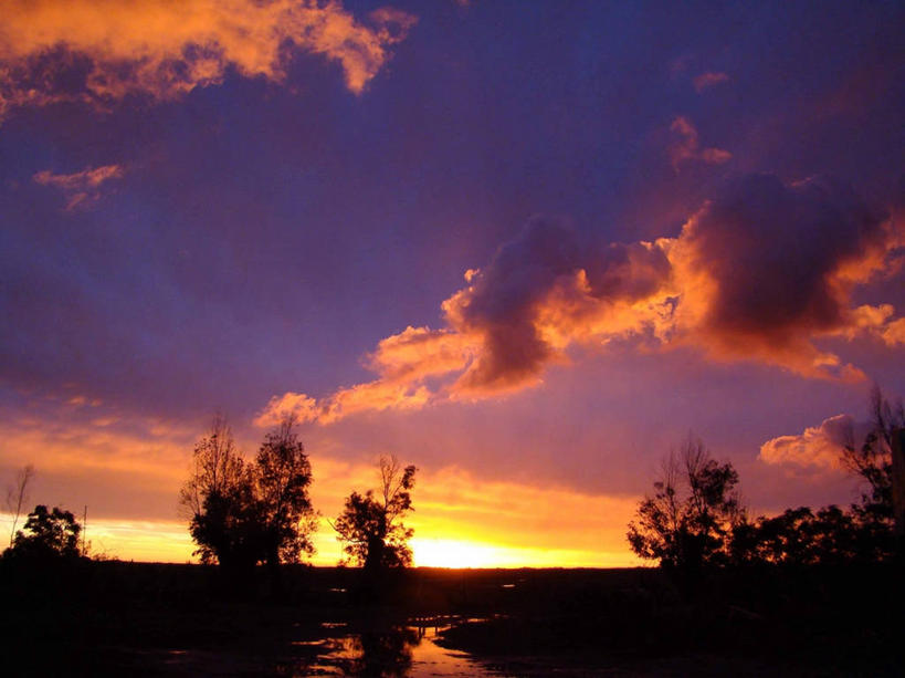 无人,横图,室外,美景,日落,太阳,阿根廷,反射,景观,云,树,风景,天空,自然,景色,摄影,宁静,自然风光,剪影,科尔多瓦,彩图