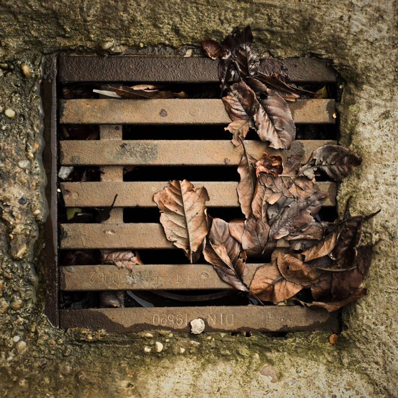 无人,方图,俯视,室外,特写,白天,叶子,湿,摄影,排水沟,保护,污水,干的,匈牙利共和国,彩图,高角度拍摄