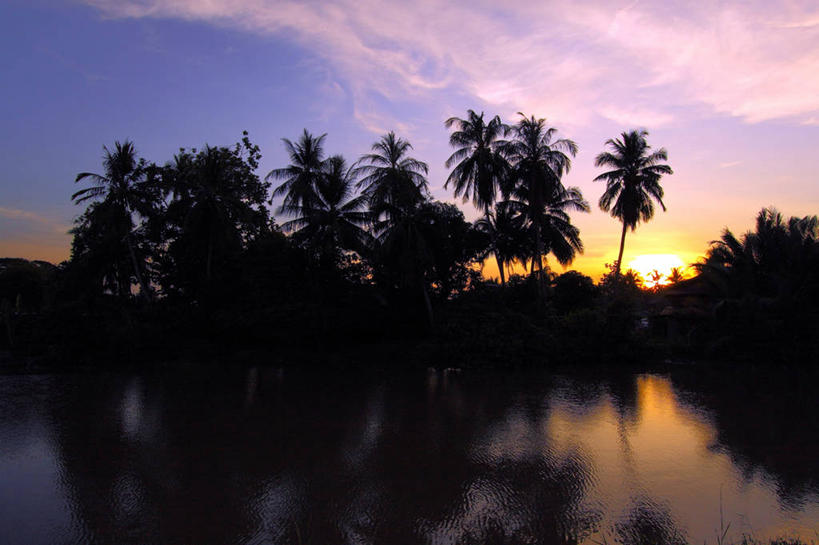 无人,横图,室外,河流,美景,日落,水,太阳,棕榈树,马来西亚,反射,景观,云,树,风景,天空,自然,景色,摄影,宁静,自然风光,剪影,吉打州,彩图
