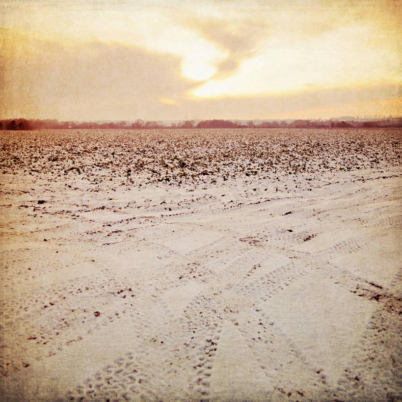 无人,方图,室外,白天,美景,雪,英国,地形,景观,田地,云,天空,自然,景色,寒冷,运输,摄影,自然风光,莱切斯特,彩图,轮胎印