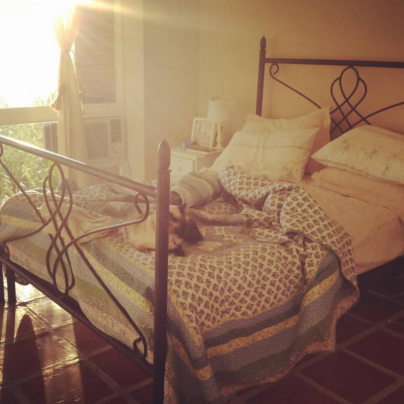 无人,方图,室内,窗户,床,卧室,日光,委内瑞拉,毯子,黎明,首都,凌乱,枕头,南美,摄影,砖地,南美洲,早晨,拉丁美洲,美洲,亚美利加洲,南亚美利加洲,加拉加斯,委内瑞拉玻利瓦尔共和国,彩图,米兰达