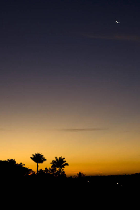 无人,竖图,室外,巴西,月亮,月光,树,风景,天空,自然,黄昏,模型,摄影,宁静,明亮,剪影,皎洁,圣保罗州,彩图