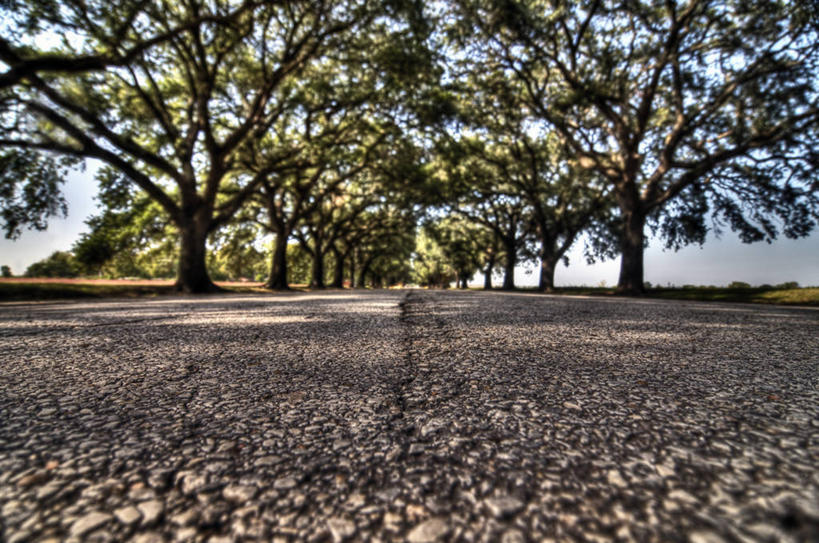 无人,横图,室外,白天,路,美国,天空,自然,摄影,德克萨斯,彩图,林荫大道