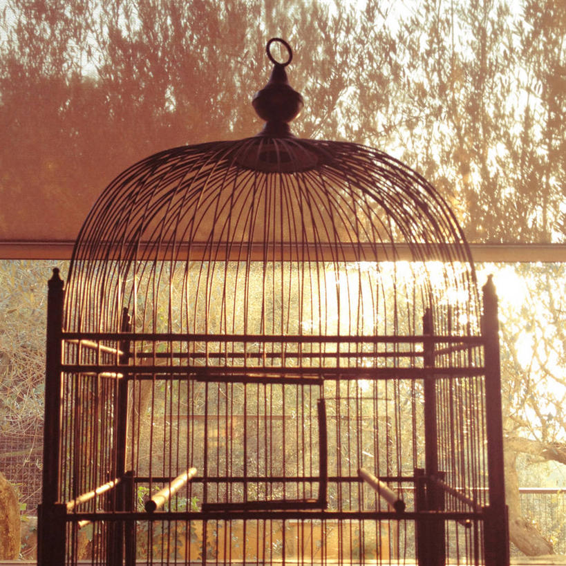 无人,方图,室外,特写,白天,自由,鸟笼,古典,摄影,彩图