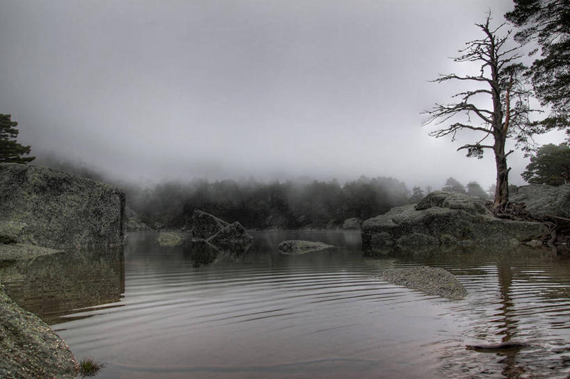 无人,横图,室外,白天,水,雾,西班牙,反射,冬天,天气,树,自然,摄影,潟湖,岩石,彩图,索里亚省