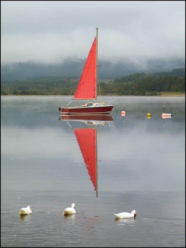 无人,竖图,室外,白天,湖,野生动物,英国,三只,反射,鸭子,云,苏格兰,树,红色,天空,自然,帆,运输,摄影,彩图,充气艇