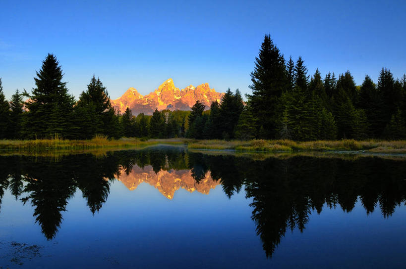 无人,横图,室外,日出,美景,美国,对称,景观,树,风景,自然,景色,摄影,自然风光,怀俄明,万里无云,杰克逊霍尔,彩图