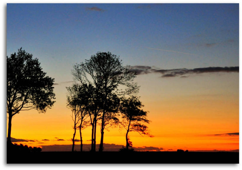 无人,横图,室外,美景,日落,荷兰,地平线,地形,景观,云,辽阔,地面,树,风景,天空,自然,广阔,景色,摄影,宁静,一望无际,自然风光,延伸,剪影,天地相交,无边无际,一马平川,格罗宁根,彩图