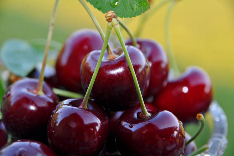 无人,横图,室外,特写,白天,樱桃,水果,挪威,串,饮食,红色,碗,摄影,清新,健康食物,玻璃杯,彩图