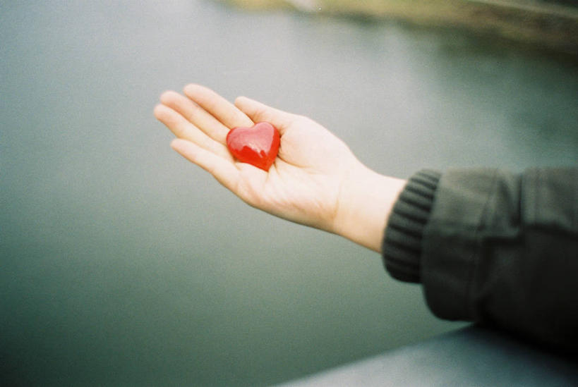 手,手掌,一个人,横图,室外,白天,湖,德国,拿着,休闲装,一个,红色,摄影,单个,部分,袖子,出示,德累斯顿,想法,心型,彩图,爱