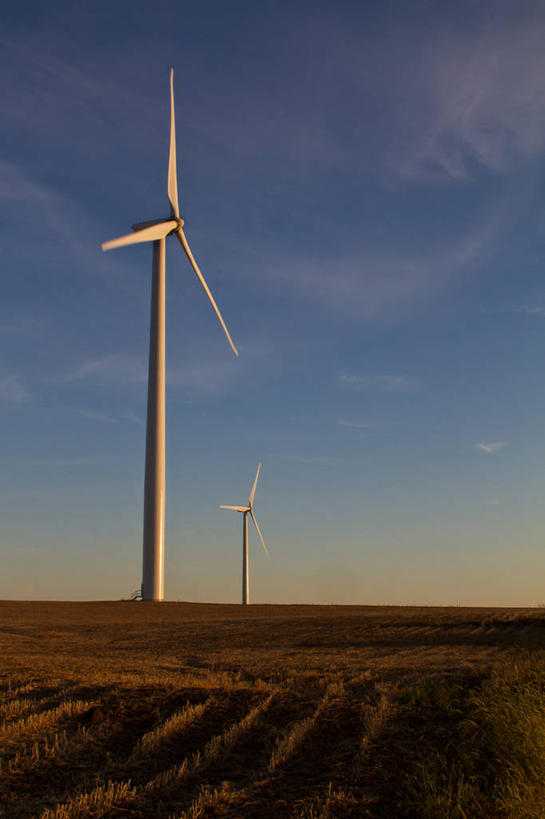 无人,竖图,室外,农业,玉米,日落,美国,风力,地平线,地形,田地,辽阔,地面,两个,天空,自然,广阔,摄影,能源,一望无际,环境,延伸,替代能源,伊利诺斯州,环境保护,天地相交,无边无际,一马平川,风轮机,彩图