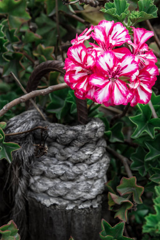 竖图,厄瓜多尔,摄影