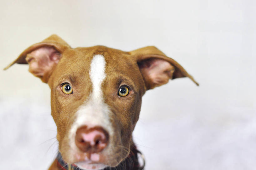 横图,美国,摄影,北美,北美洲,美洲,佛罗里达,佛罗里达州,佛州,阳光州,北亚美利加洲,亚美利加洲,美利坚合众国,莱克兰