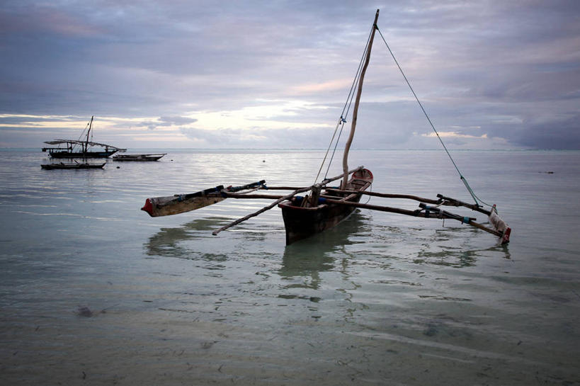 横图,坦桑尼亚,摄影,桑吉巴尔