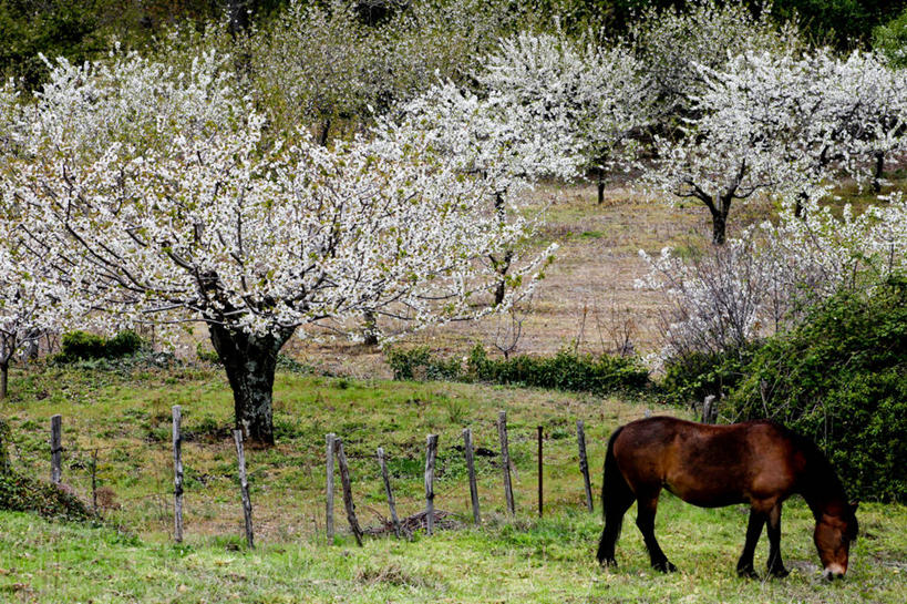 横图,西班牙,摄影