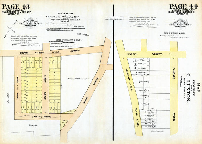 无人,横图,地图,历史,古董,新泽西,彩图