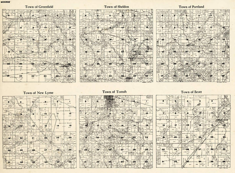 无人,横图,地图,历史,古董,威斯康星,莱姆病,彩图,门罗县