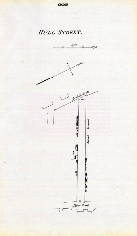 无人,竖图,地图,城镇,历史,古董,波士顿,马萨诸塞,彩图,地图学