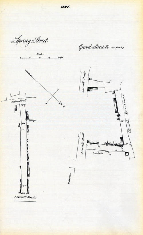 无人,竖图,地图,城镇,历史,古董,波士顿,马萨诸塞,彩图,地图学