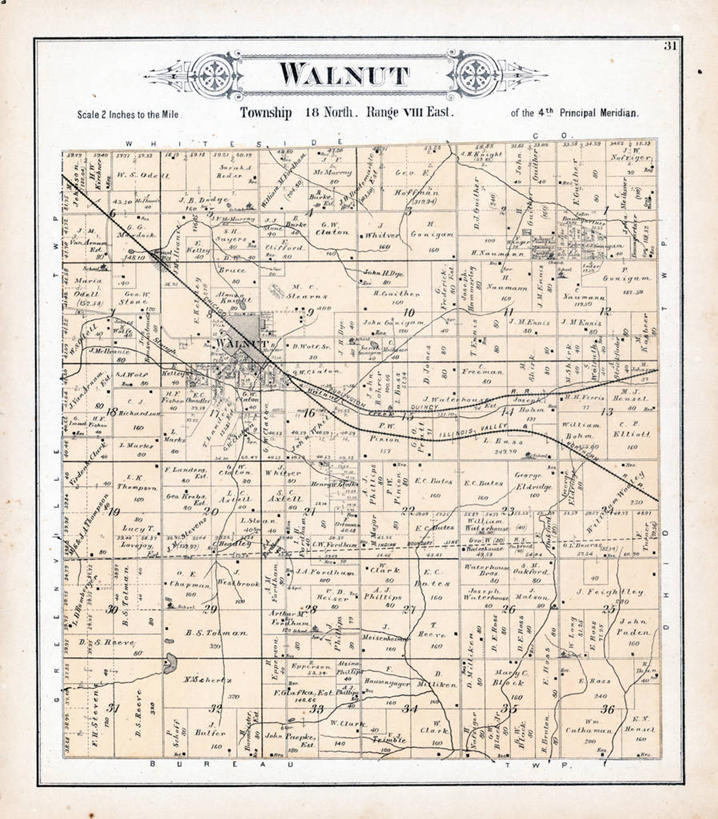 无人,竖图,地图,历史,古董,胡桃,伊利诺斯州,彩图,地图学