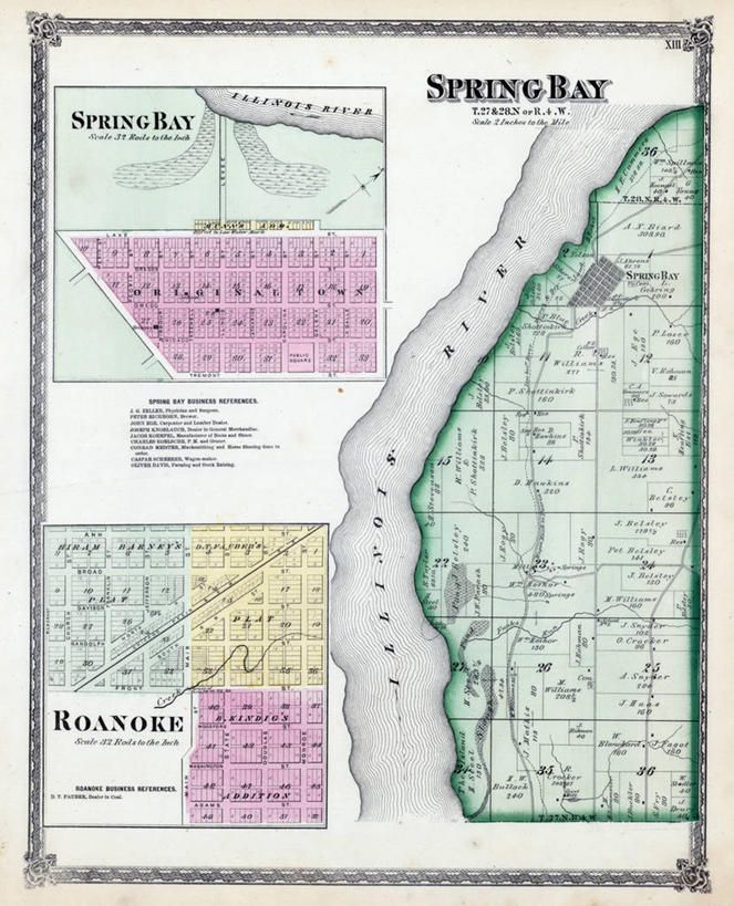 无人,竖图,地图,城镇,历史,古董,伊利诺斯州,罗阿诺克,彩图,地图学