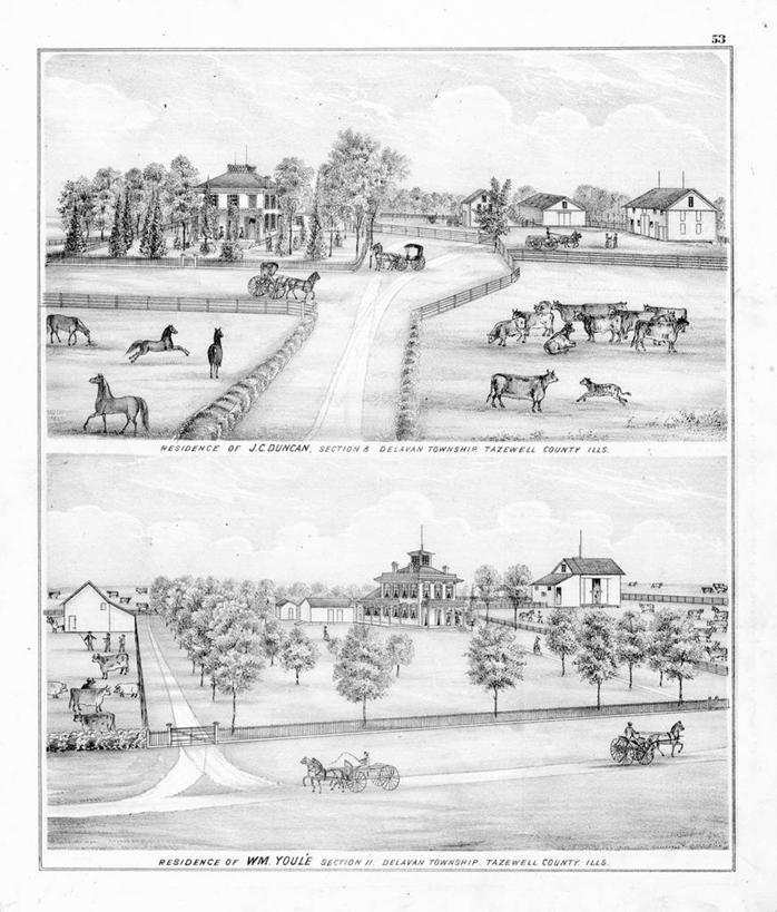 农场,竖图,室外,牧场,美景,房屋,景观,马车,历史,自然,景色,古董,自然风光,伊利诺斯州,农舍,彩图