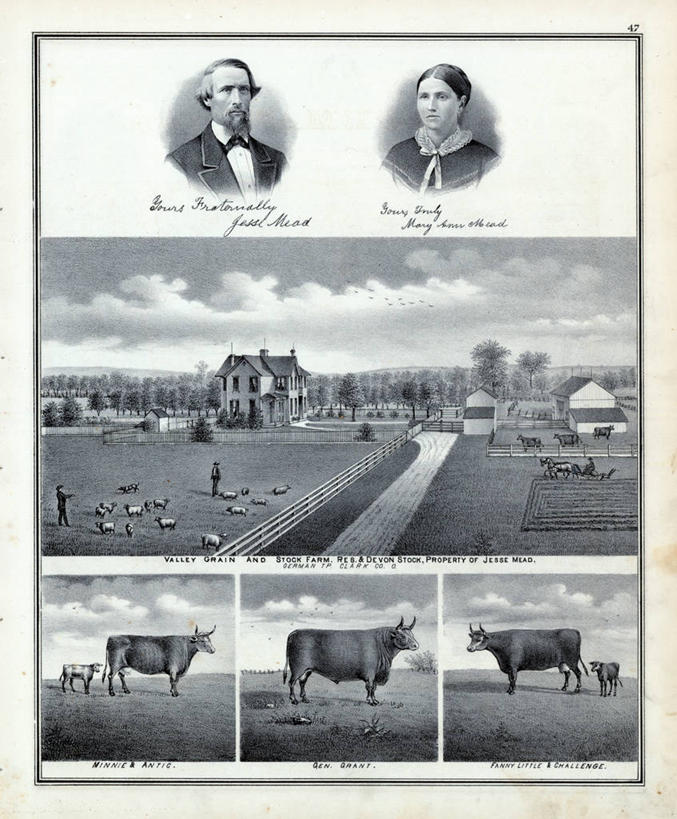 成年人,脸,头,脸颊,两个人,农场,竖图,插画,室外,正面,数码,科技,美景,路,牛,阴影,网络,房屋,景观,田地,高光,几何,计算机图形,合成,图画,历史,肩膀,画,棚,自然,动物,景色,牲畜,古董,电脑合成图,数码合成图,合成图,自然风光,肖像,漫画,俄亥俄州,写实,具体,具象,母牛,农舍,克拉克县,男人,女人,头部,脸部,脸蛋,面部,彩图,家牛