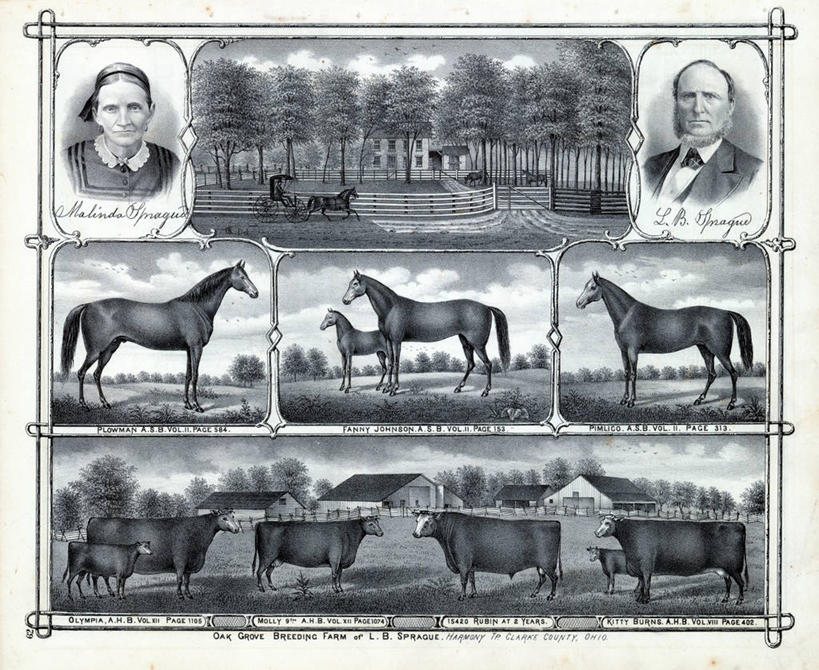 成年人,老年人,脸,头,脸颊,两个人,农场,横图,插画,室外,正面,数码,科技,美景,路,马,阴影,网络,景观,高光,几何,计算机图形,合成,图画,历史,肩膀,画,自然,动物,景色,牲畜,古董,电脑合成图,数码合成图,合成图,自然风光,肖像,漫画,俄亥俄州,写实,具体,具象,母牛,克拉克县,老年男性,老年女性,头部,脸部,脸蛋,面部,彩图,家牛