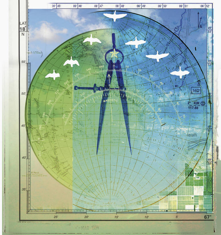 无人,竖图,插画,室外,白天,蒙太奇,探险,数码,科技,地图,阴影,网络,高光,几何,计算机图形,北,合成,图画,方向,飞,画,自然,动物,探索,罗盘,经度,纬度,量角器,环境,电脑合成图,数码合成图,迁徙,准确,合成图,漫画,计算机制图,搜寻,环境保护,写实,具体,具象,技能,彩图