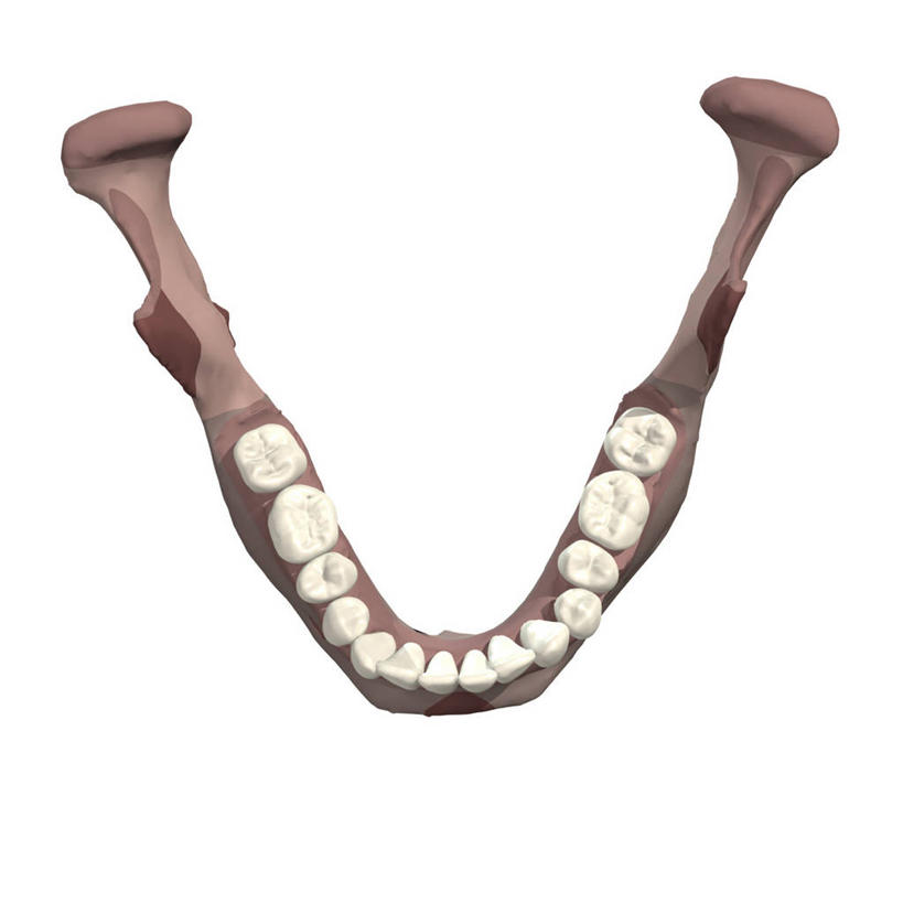 牙齿,无人,方图,插画,白色背景,数码,科技,阴影,网络,高光,几何,计算机图形,合成,图画,画,电脑合成图,数码合成图,合成图,漫画,写实,具体,具象,人体结构,齿,牙,牙龈,彩图,磨牙