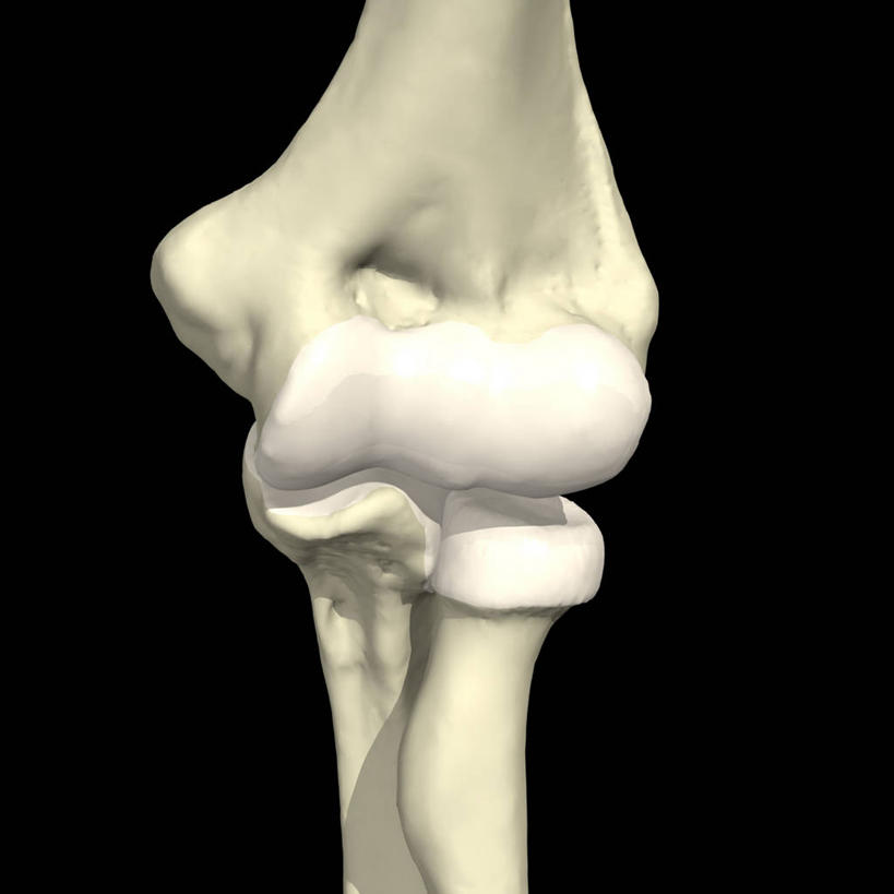 肘,无人,方图,插画,数码,科技,阴影,黑色背景,网络,高光,几何,计算机图形,合成,图画,画,电脑合成图,数码合成图,合成图,漫画,写实,具体,具象,人体结构,彩图