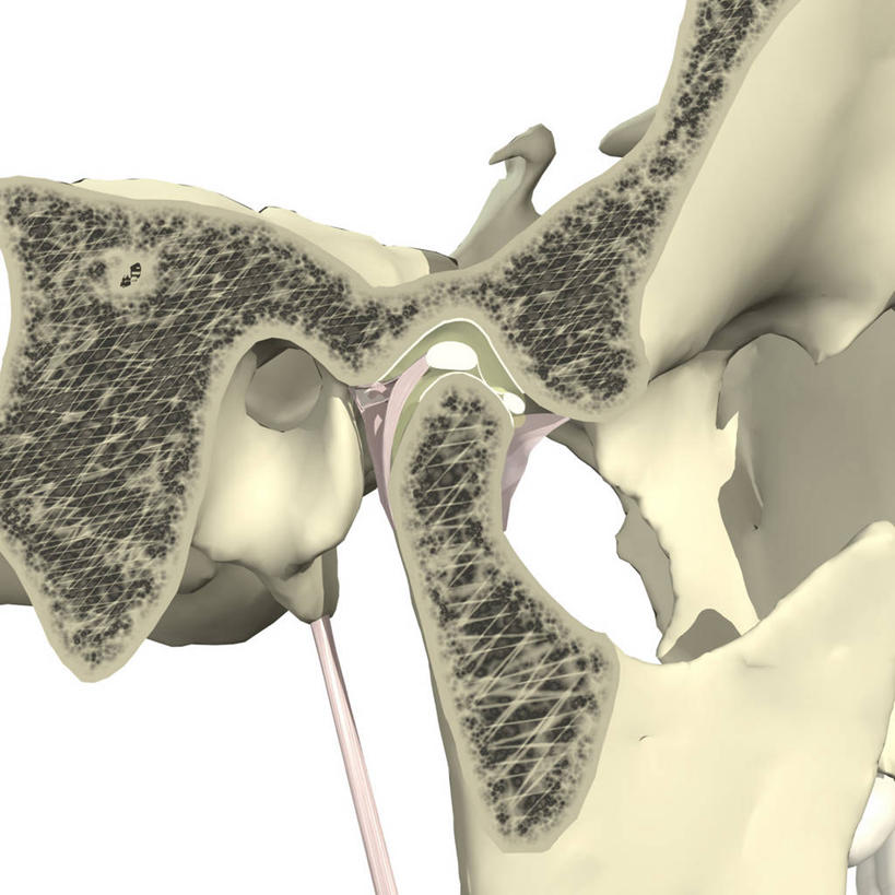 牙齿,无人,方图,插画,白色背景,数码,科技,阴影,网络,药丸,高光,几何,计算机图形,合成,图画,画,电脑合成图,数码合成图,合成图,漫画,写实,具体,具象,人体结构,咀嚼,齿,牙,牙龈,彩图
