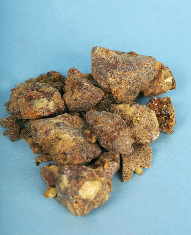 无人,竖图,特写,苏丹,许多,蓝色背景,草药,很多,干花,摄影,感冒,疾病,草本,支气管哮喘,呼吸道疾病,哮踹,支气管炎,彩图,影棚拍摄