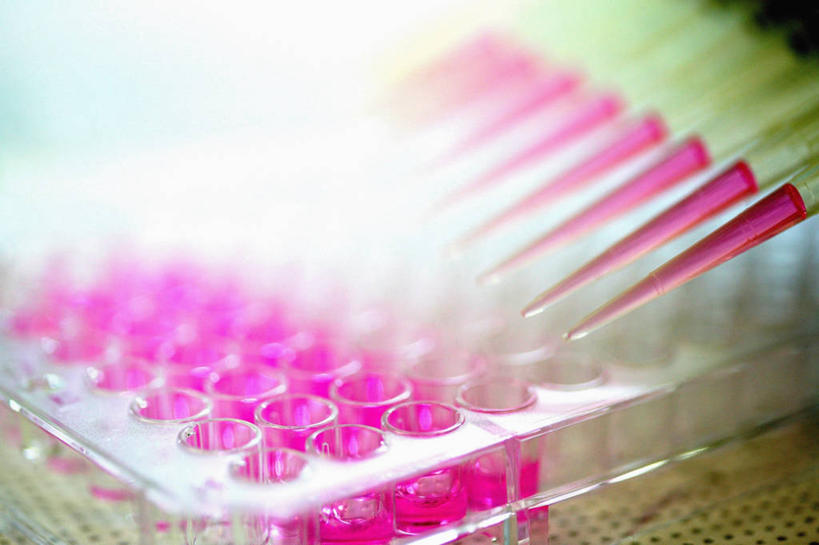 无人,横图,室内,特写,韩国,一排,整齐,化学,液体,实验室,设备,物品,排列,粉色,打开,摄影,部分,开启,队列,吸液管,彩图