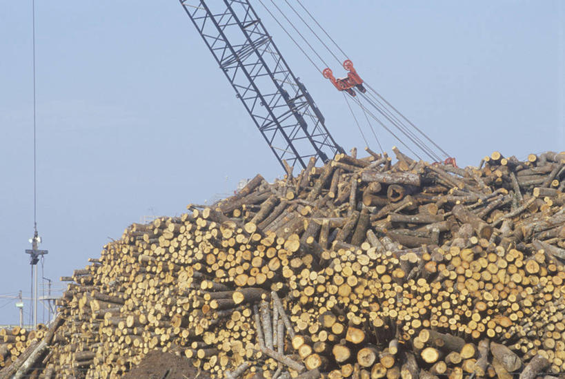 无人,工厂,横图,室外,特写,白天,美国,堆叠,环保,木材,工业,摄影,能源,环境,回收,资源,圆木,自然现象,利用,低碳,循环,造纸厂,持续,彩图,制造厂,生产工厂