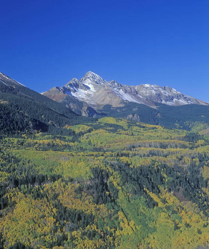无人,竖图,室外,白天,森林,山,树林,美国,地形,陆地,蓝色,风景,天空,自然,摄影,科罗拉多州,国家森林公园,秋天,彩图,旅行