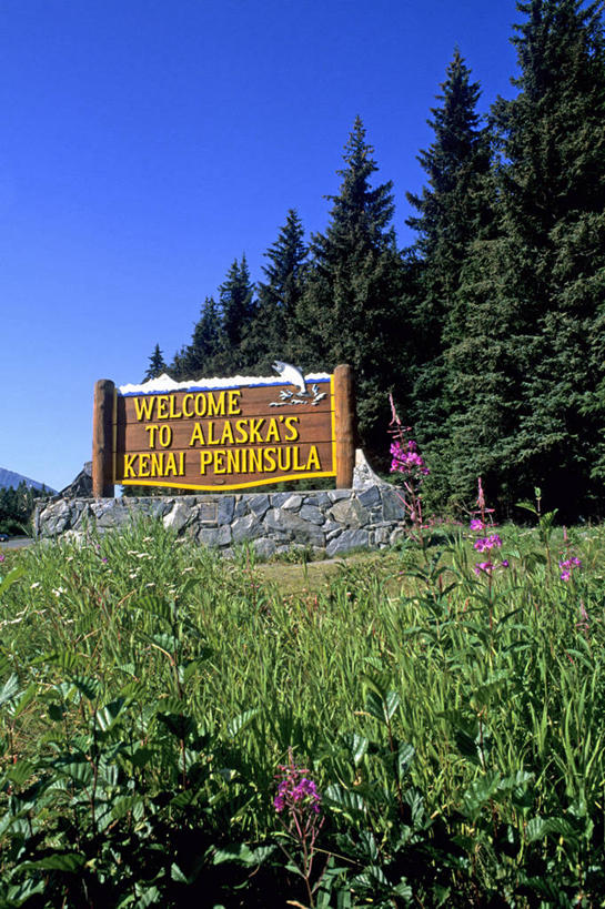 无人,竖图,室外,白天,旅游,草地,美景,森林,指示牌,美国,标志,文字,景观,野花,标识,草,自然,景色,摄影,英文字母,北美,北美洲,自然风光,美洲,阿拉斯加,阿拉斯加州,北亚美利加洲,亚美利加洲,最后的边疆,午夜阳光之地,基奈半岛,彩图,旅行,美利坚合众国