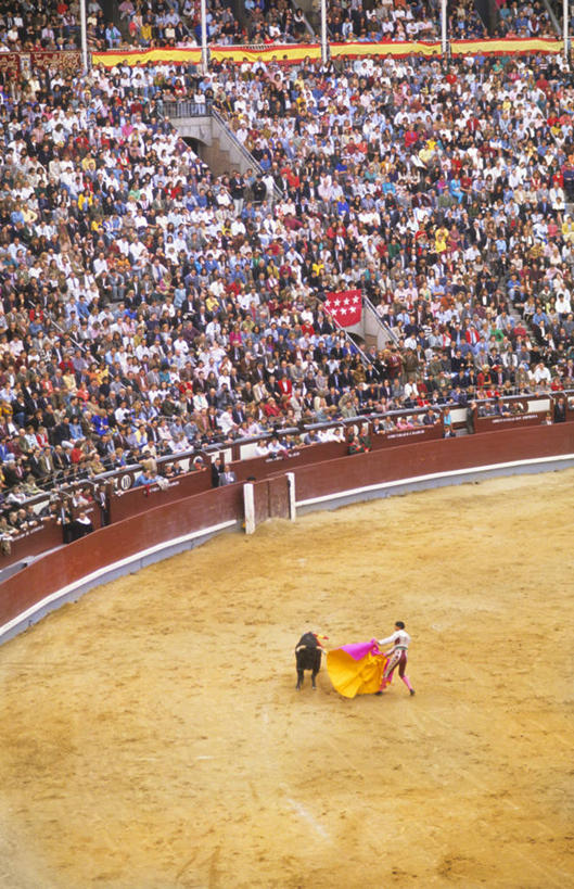 观众,竖图,俯视,室外,白天,锻炼,快乐,比赛,运动,竞争,斗牛,牛,西班牙,首都,娱乐,斗牛场,休闲,马德里,摄影,体育运动,群众,体育,彩图,高角度拍摄,健身,西班牙斗牛