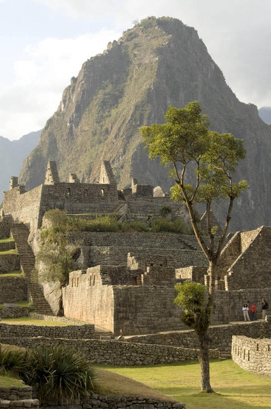 竖图,室外,白天,旅游,山,建筑,秘鲁,废墟,树,摄影,考古学,马丘比丘,彩图,拉美文明