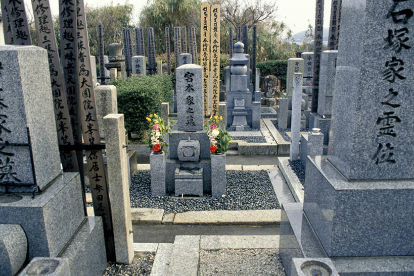 无人,横图,室外,特写,白天,日本,丰富,日本文化,日文,花,树,墓地,摄影,京都府,纪念,留念,花岗岩,怀念,墓穴,彩图