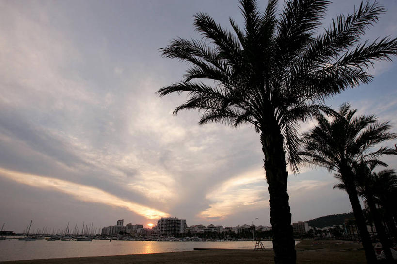 无人,横图,室外,白天,度假,日落,船,棕榈树,日光,西班牙,游艇,树,天空,黄昏,摄影,航海,南欧,游艇码头,帆樯,桅竿,伊比沙岛,海滩,彩图,旅行,帆柱