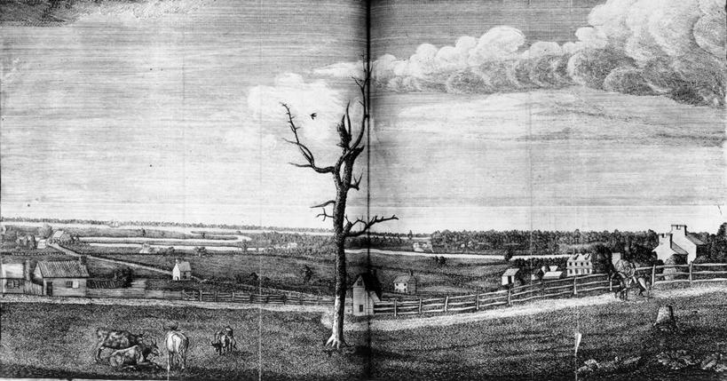 农场,横图,黑白,室外,白天,农业,美景,地形,景观,田地,历史,自然,景色,自然风光