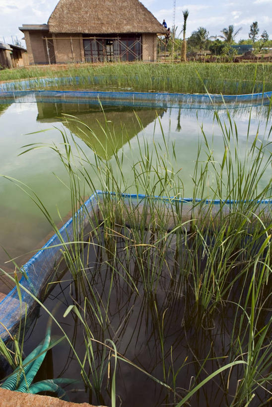 体育馆,游泳池,家,运动场,竖图,室外,白天,旅游,度假,水,建筑,印度,房屋,屋顶,屋子,草屋,顶棚,娱乐,体育场,住宅,草,茅草屋,享受,休闲,放松,摄影,水泵,生态,水生植物,循环利用,环境保护,卡纳塔克邦,运动馆,印度次大陆,迈索尔,彩图,房子,茅舍,茅屋,小屋