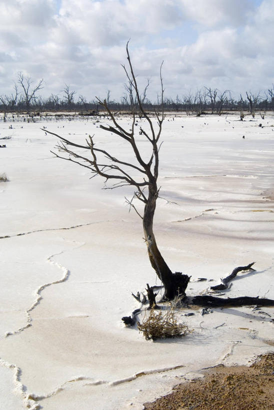 横图,竖图,室外,白天,湖,环保,自然灾害,摄影,能源,怪异,回收,资源,利用,低碳,循环,持续,盐湖,西澳大利亚,彩图