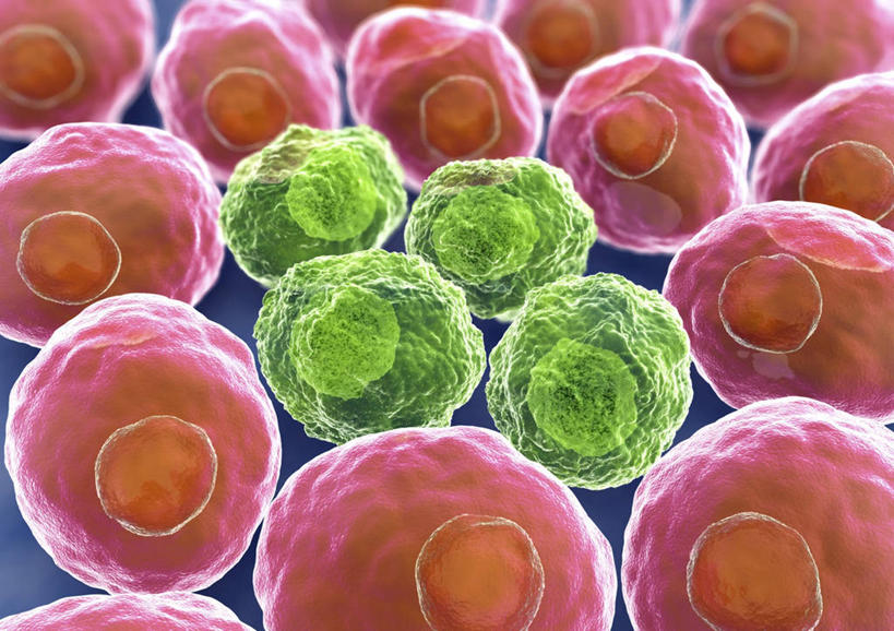 无人,横图,插画,室内,白天,正面,数码,科技,微生物,阴影,科学,网络,细胞核,医学,细胞,高光,几何,计算机图形,合成,图画,画,红色,绿色,电脑合成图,数码合成图,核仁,细胞器,生物学,合成图,漫画,癌细胞,写实,具体,具象,彩图,核骨架,核膜