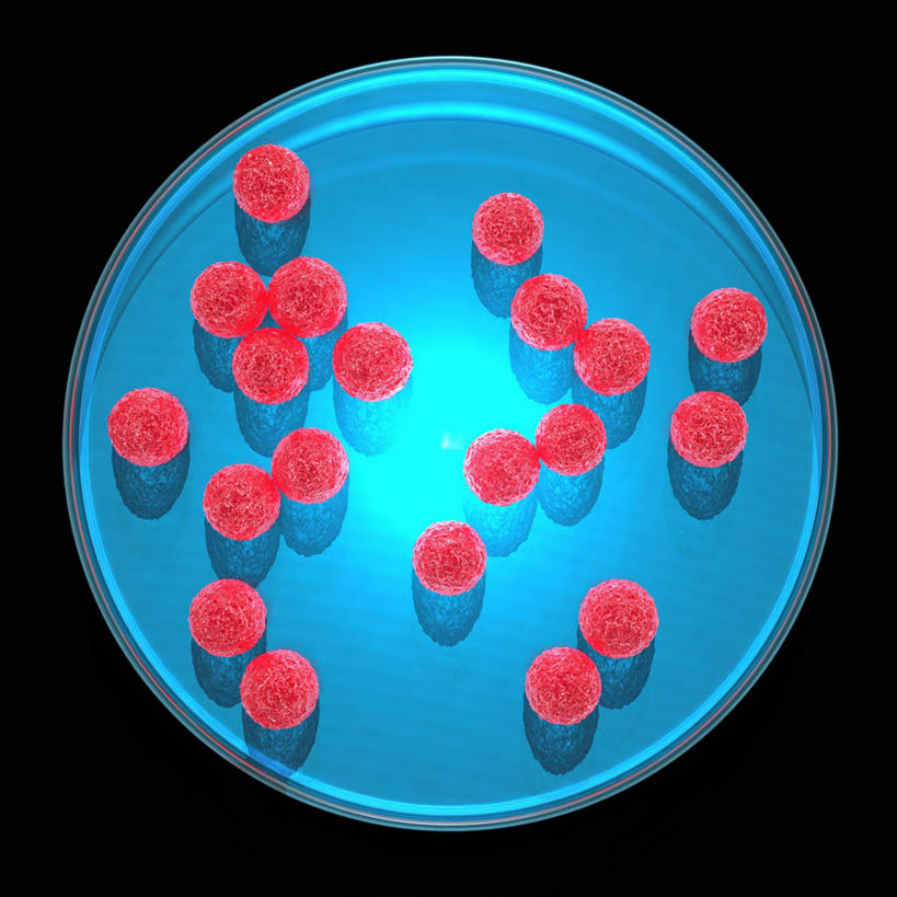 无人,方图,插画,室内,白天,正面,数码,科技,微生物,阴影,黑色背景,网络,细菌,圆形,图形,圆,高光,几何,计算机图形,合成,图画,画,红色,蓝色,生物,电脑合成图,数码合成图,合成图,数学,漫画,写实,具体,具象,杆菌,生命体,枯草芽孢杆菌,芽孢杆菌,彩图,几何图形,平面图形,原核生物